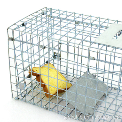 China Animal Large Cage Catcher Cold galvanized Catch Manufactory